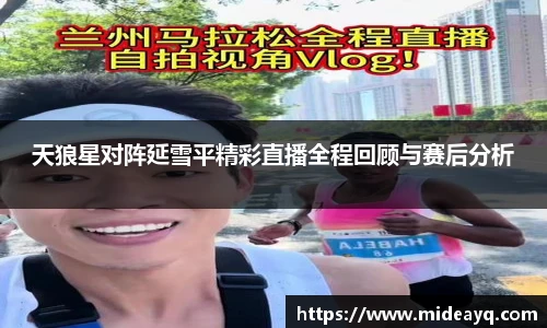 天狼星对阵延雪平精彩直播全程回顾与赛后分析
