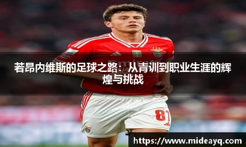 若昂内维斯的足球之路：从青训到职业生涯的辉煌与挑战