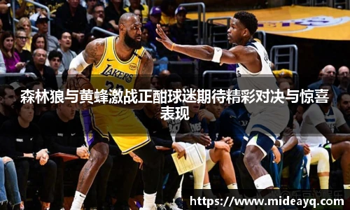 森林狼与黄蜂激战正酣球迷期待精彩对决与惊喜表现